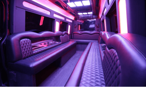 Denver 14 Passenger Sprinter Bus Interior