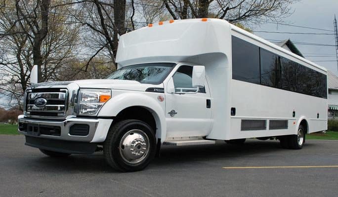 Denver 20 Passenger Party Bus